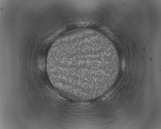 X0000067501204200604281534