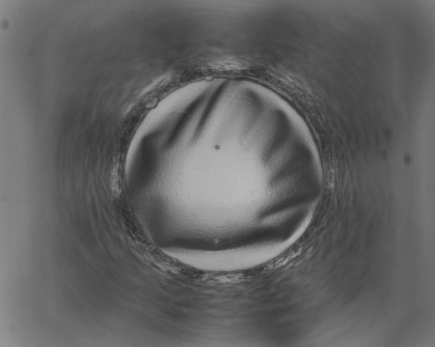 X0000067501205200604281534
