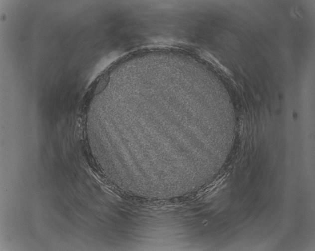 X0000067501208200604281534