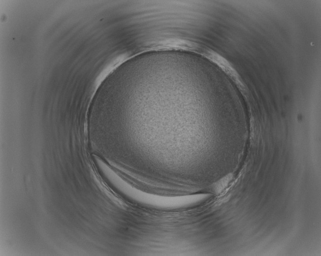 X0000067501234200604281534