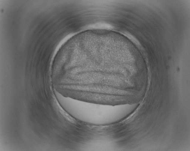 X0000067501248200604281535