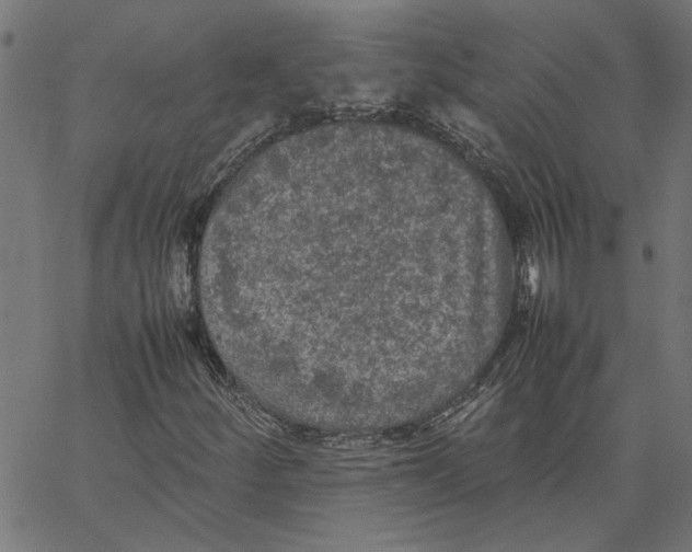 X0000067501252200604281534