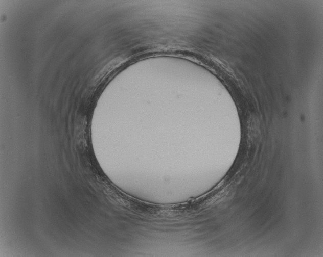 X0000067501265200604281534