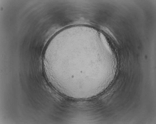 X0000067501268200604281534