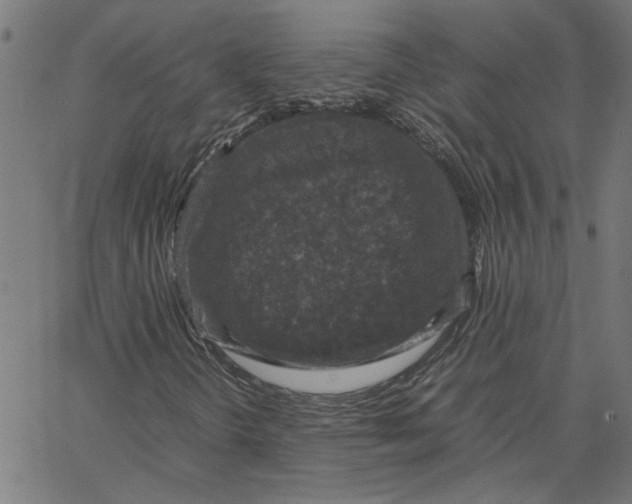 X0000067501298200604281532