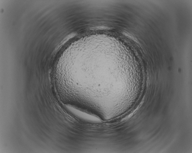 X0000067501305200604281532
