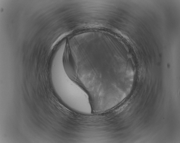 X0000067501306200604281532