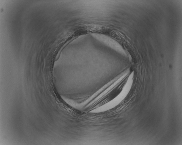 X0000067501345200604281532
