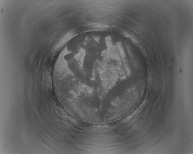 X0000067501354200604281532