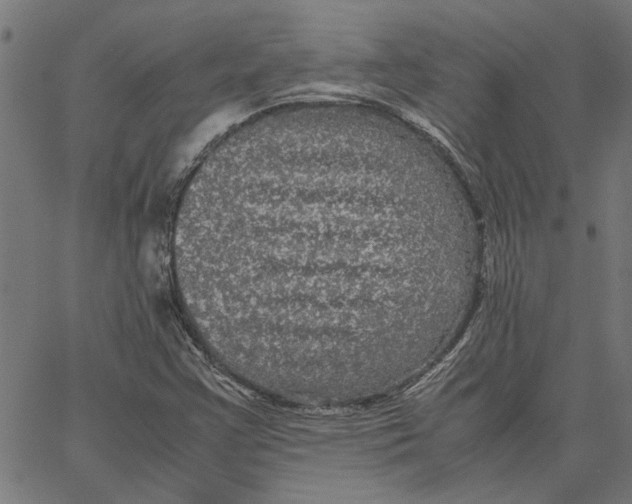 X0000067501355200604281532