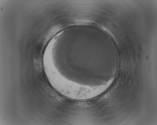 X0000067501362200604281532