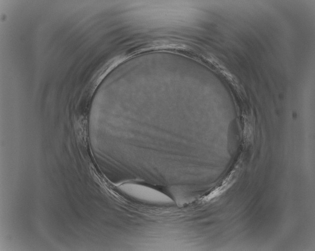 X0000067501369200604281532