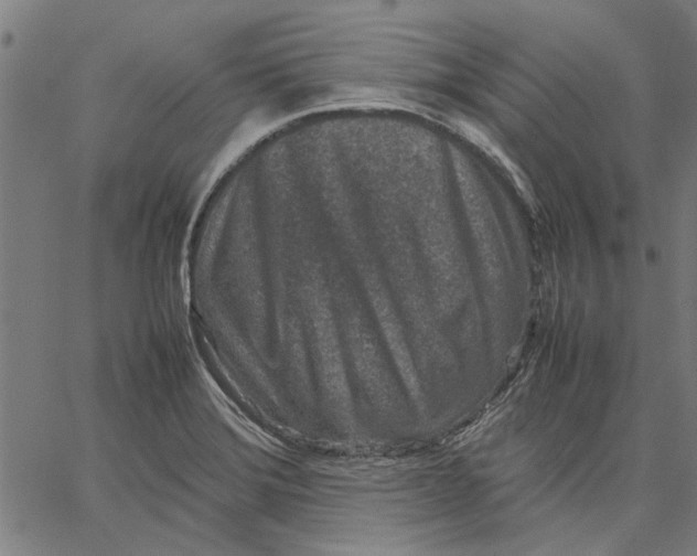X0000067501372200604281532