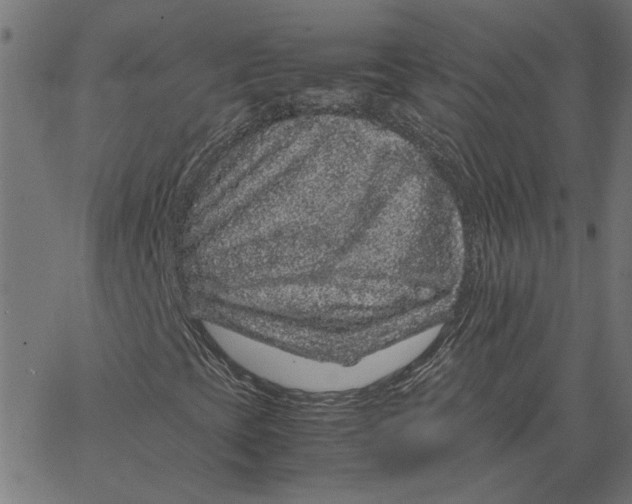 X0000067501393200604281531