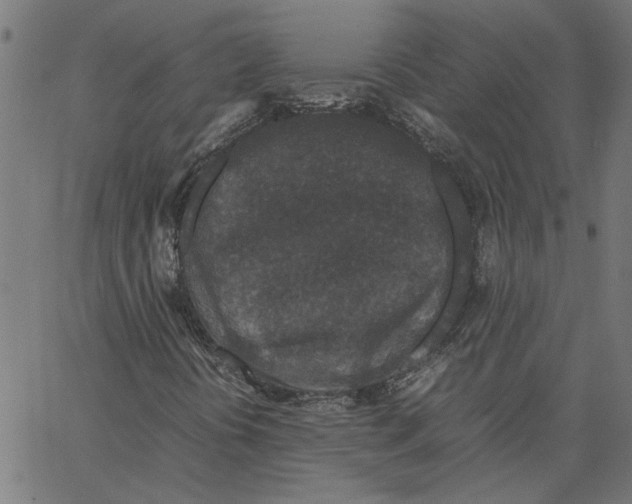 X0000067501394200604281531
