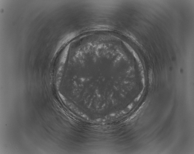 X0000067501405200604281531
