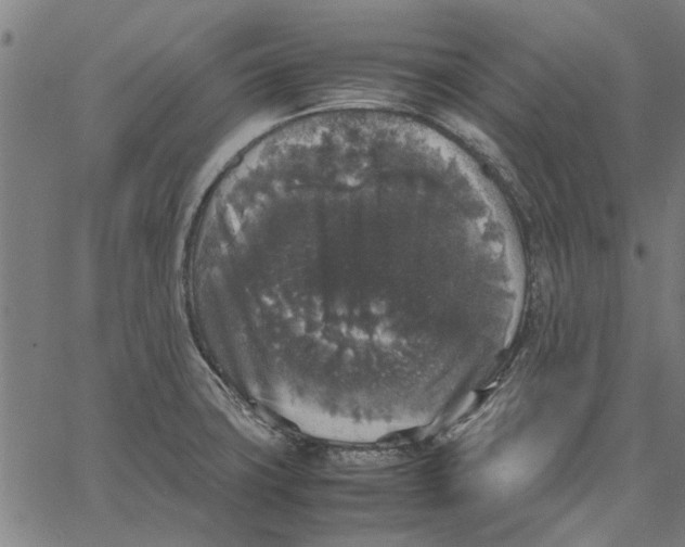 X0000067501427200604281531