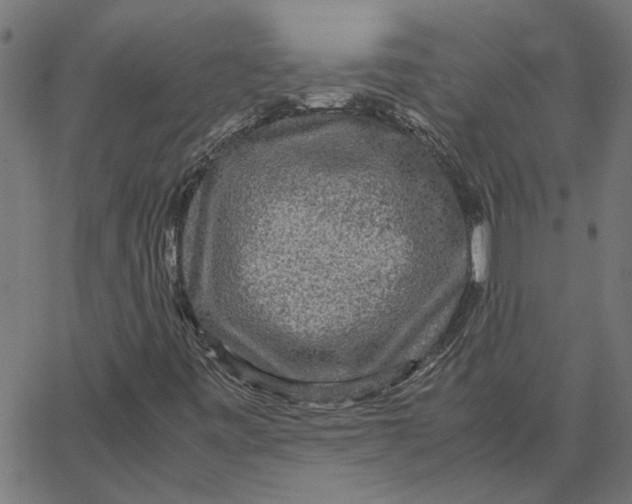X0000067501443200604281531