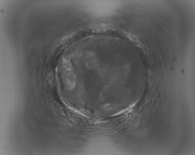 X0000067501445200604281531