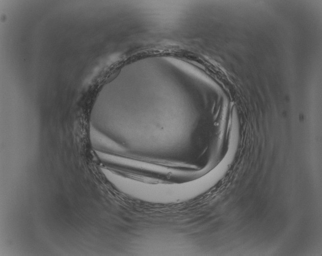 X0000067501447200604281531
