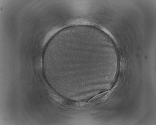 X0000067501461200604281530