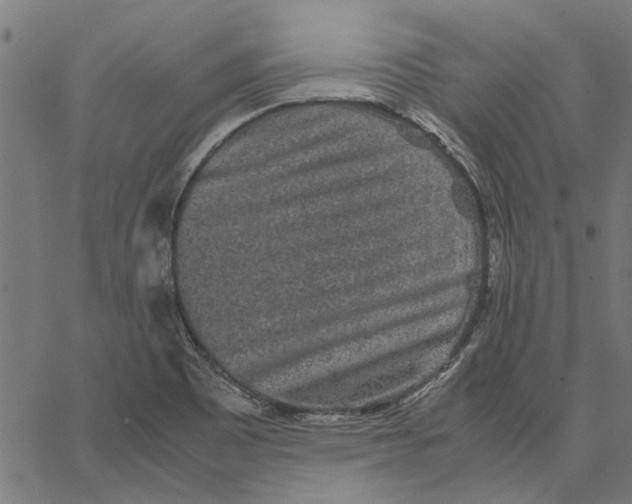 X0000067501465200604281530