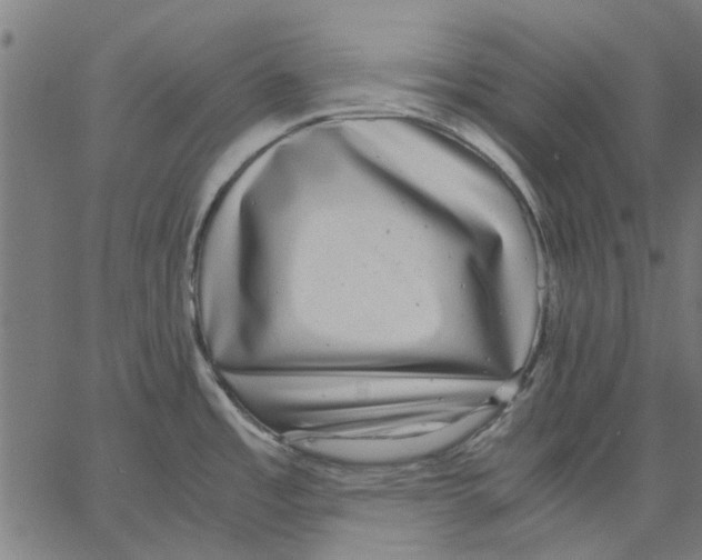 X0000067501485200604281530