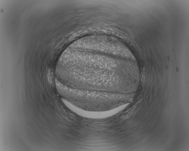 X0000067501490200604281529