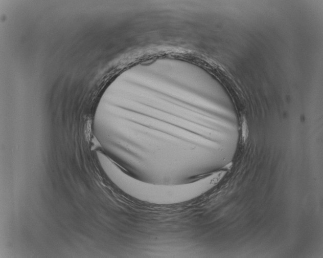 X0000067501492200604281529