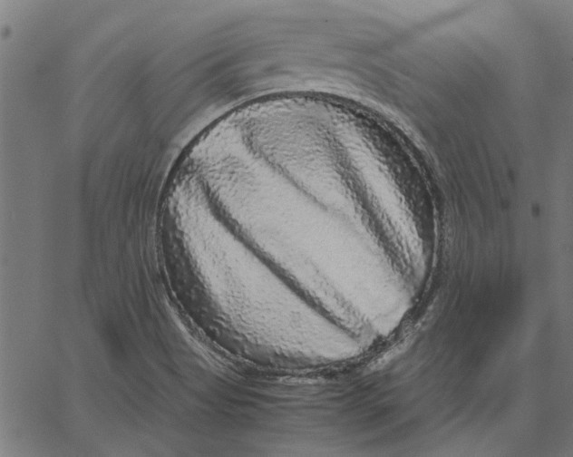X0000067501513200604281530
