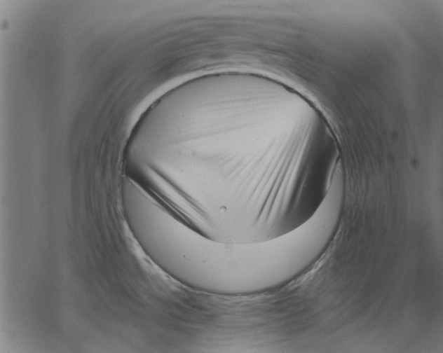 X0000067501534200604281530