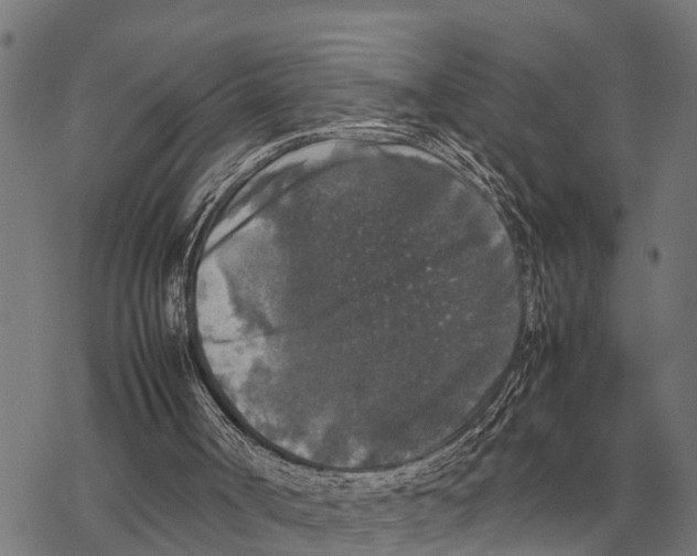 X0000067500002200605051815