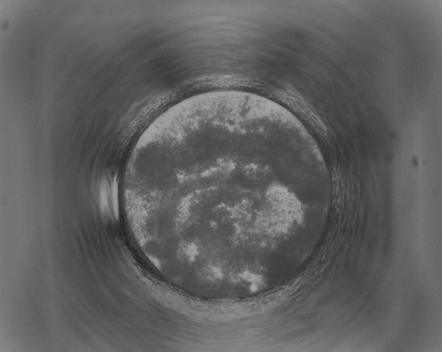 X0000067500014200605051815
