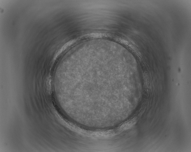 X0000067500016200605051815
