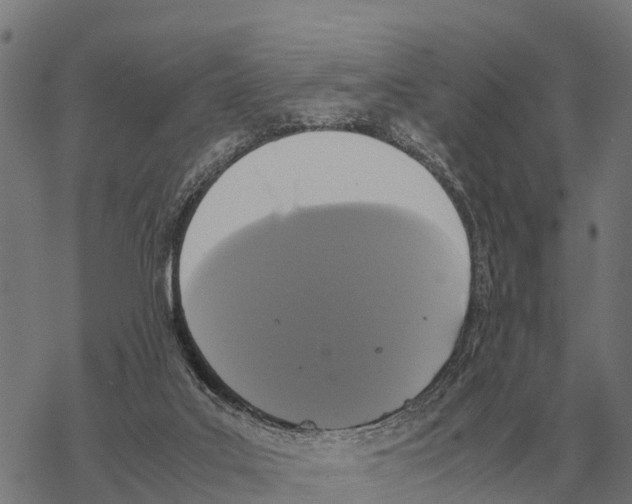 X0000067500019200605051815