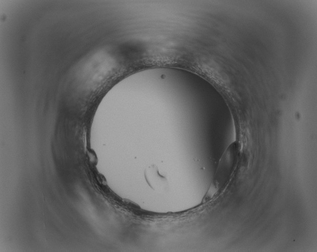 X0000067500021200605051815