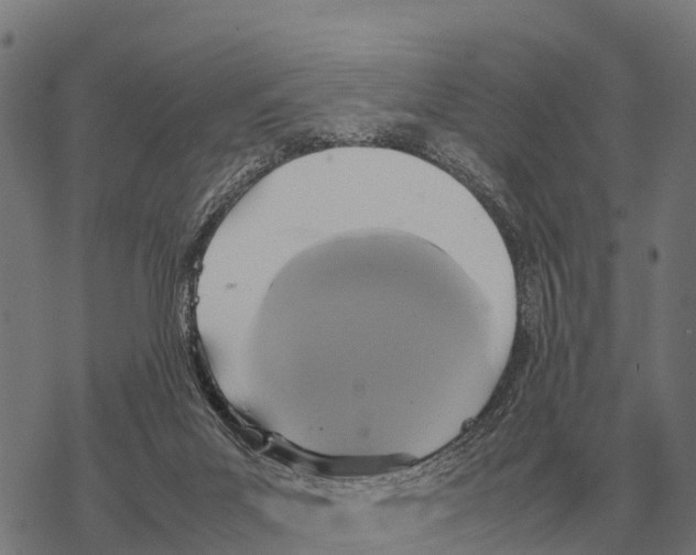 X0000067500023200605051815