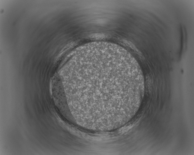 X0000067500024200605051815