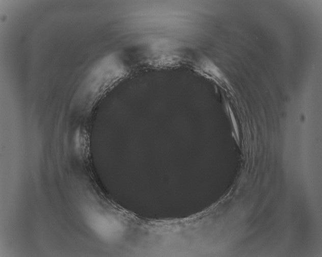 X0000067500029200605051814
