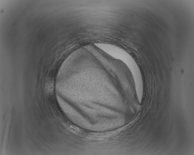 X0000067500033200605051814