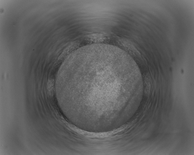 X0000067500034200605051814