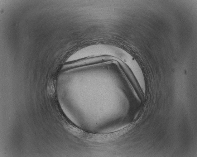 X0000067500037200605051814