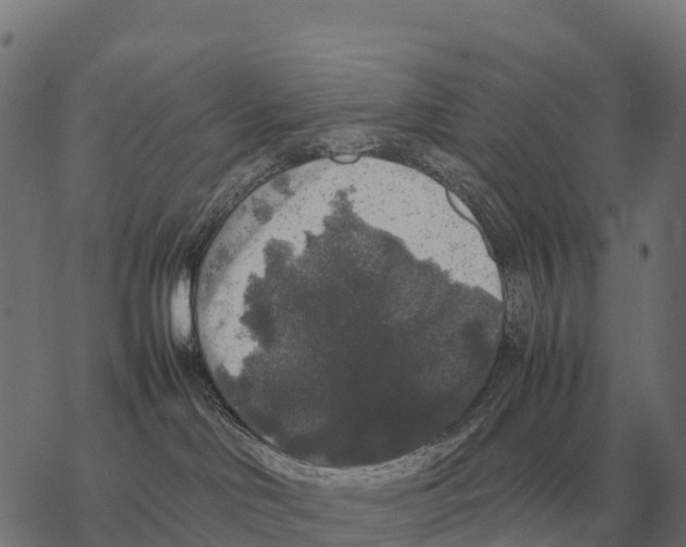 X0000067500046200605051814