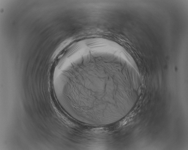 X0000067500054200605051813