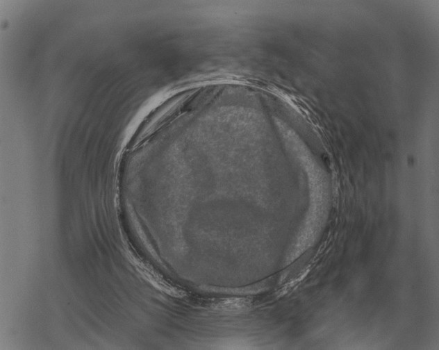 X0000067500056200605051813