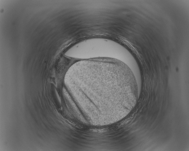 X0000067500071200605051814