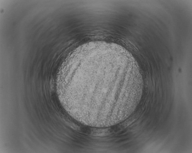 X0000067500081200605051814