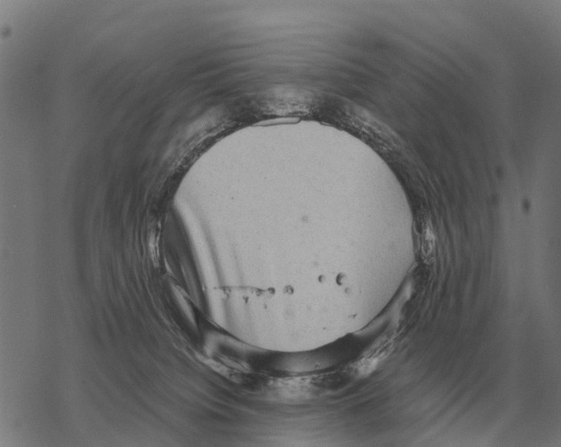 X0000067500084200605051814