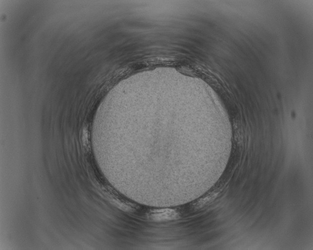 X0000067500087200605051814