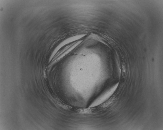 X0000067500088200605051814